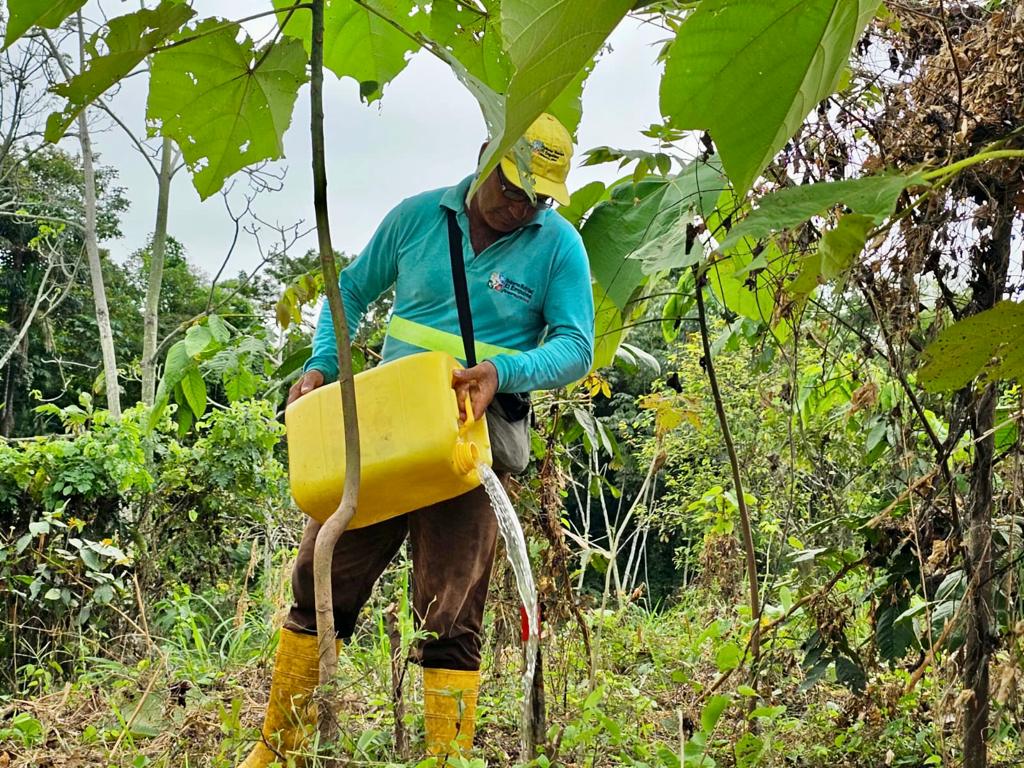 Jóvenes arborizan zona de captación de agua en El Empalme con apoyo municipal
