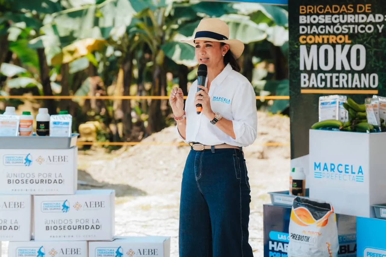 Prefectura del Guayas activa brigadas contra el Fusarium R4 en zonas bananeras